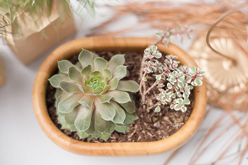 Picturesque Outdoor Oklahoma Wedding at Beaver's Bend State Park
