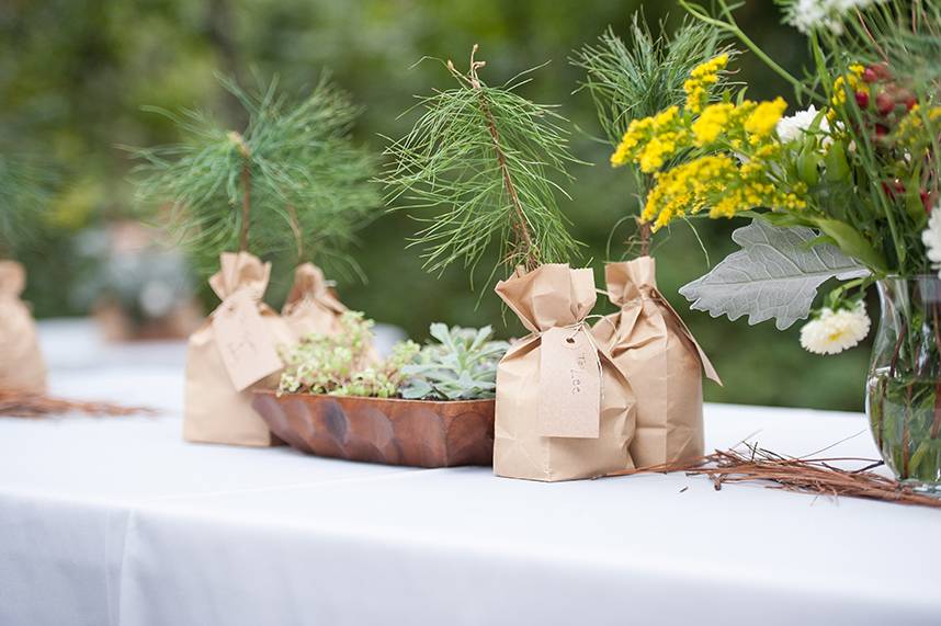 Picturesque Outdoor Oklahoma Wedding at Beaver's Bend State Park
