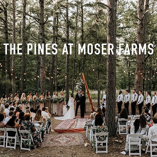 Rustic Meets Rose Gold in this Wedding at The Pines at Moser Farms